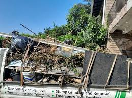 Shed Removal in Huntington Beach, CA